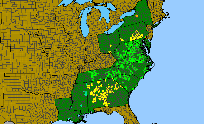 The range of Phacelia dubia